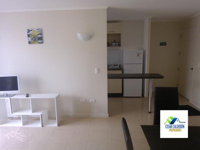DEPARTAMENTO AMOBLADO CONDOMINIO LOS TAMARINDOS II, LA SERENA IV REGION.