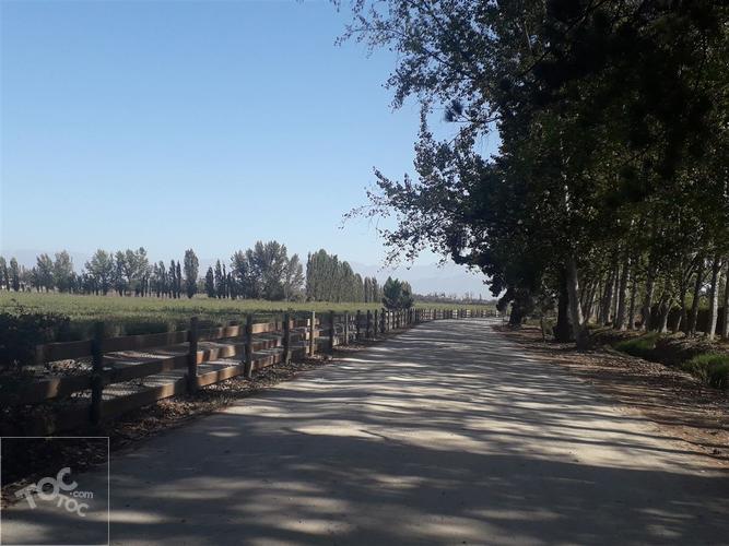 Camino Loreto / Ruta 78 / Lonquén Sur