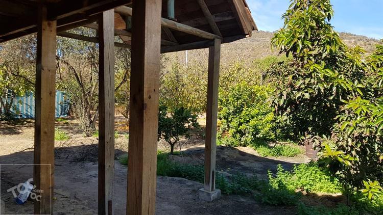 (DSM) Melipilla
