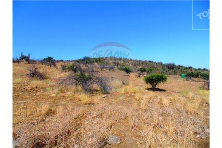 Hacienda Chacabuco
