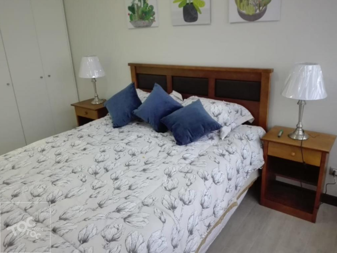 LOS ABETOS 1640 DP 202, Vitacura