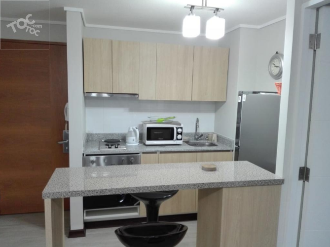 LOS ABETOS 1640 DP 202, Vitacura