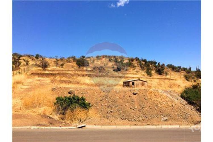 Hacienda Chacabuco