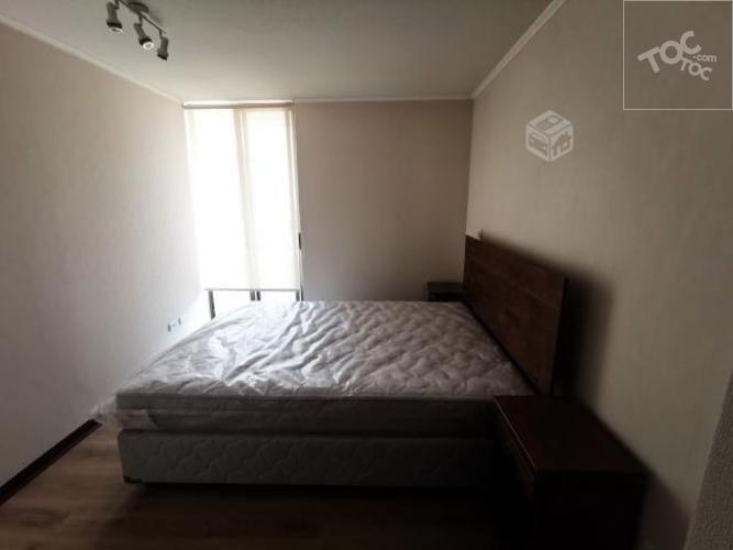 Arriendo Departamento Amoblado en Estacion Central