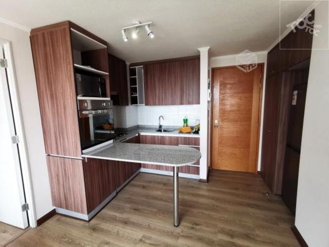 Arriendo Departamento Amoblado en Estacion Central