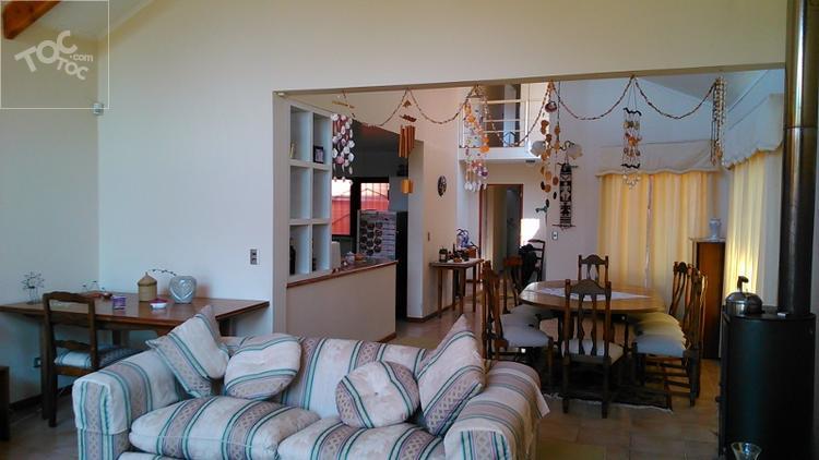 LARRAIN, Mirasol, Algarrobo