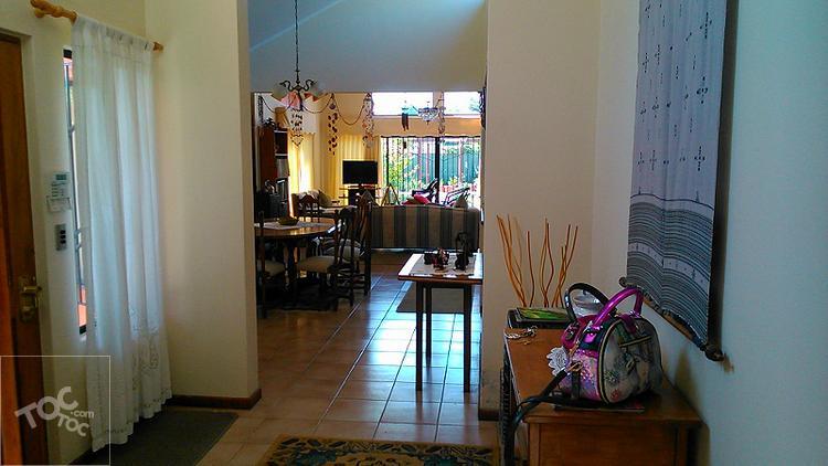 LARRAIN, Mirasol, Algarrobo