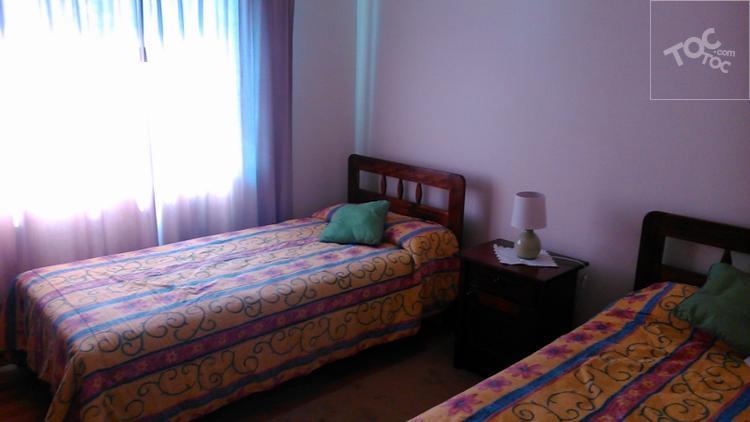 LARRAIN, Mirasol, Algarrobo