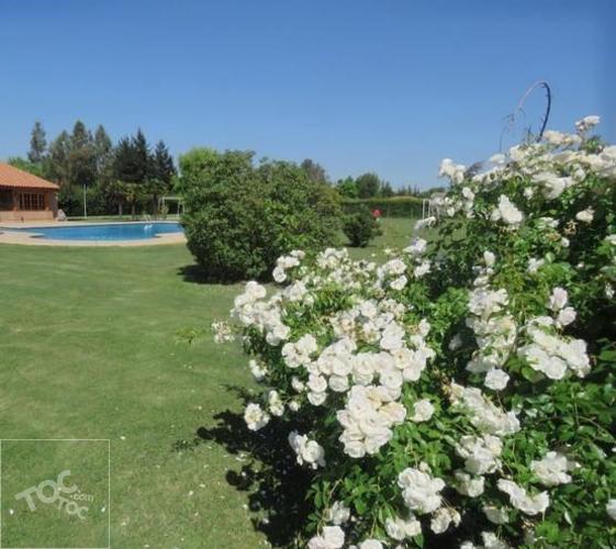 La Higuera, Camino Tanguito, Lonquen Norte