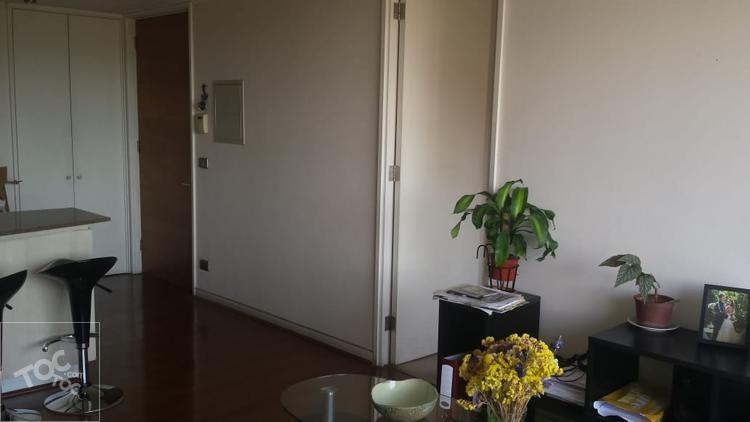 Se arrienda cómodo y luminoso departamento 1 dormitorio,1baño, cocina americana,terraza. Bien ubicado a 3 cuadras de plaza ñuñoa.
