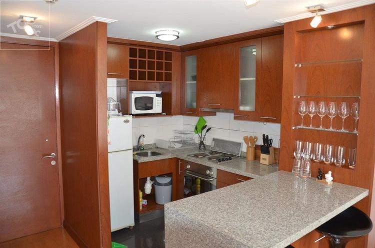 AMOBLADO en MODERNO edificio con Excelentes areas comunes, ESTACIONAMIENTO incluido, Gasto común BAJO! departamento IDEAL PARA EJECUTIVOS DE ALTO CARGO