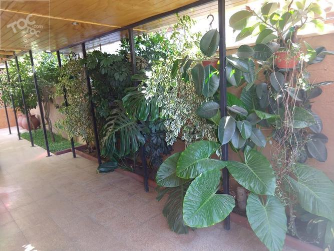 HERMOSA CASA EN PADRE HURTADO