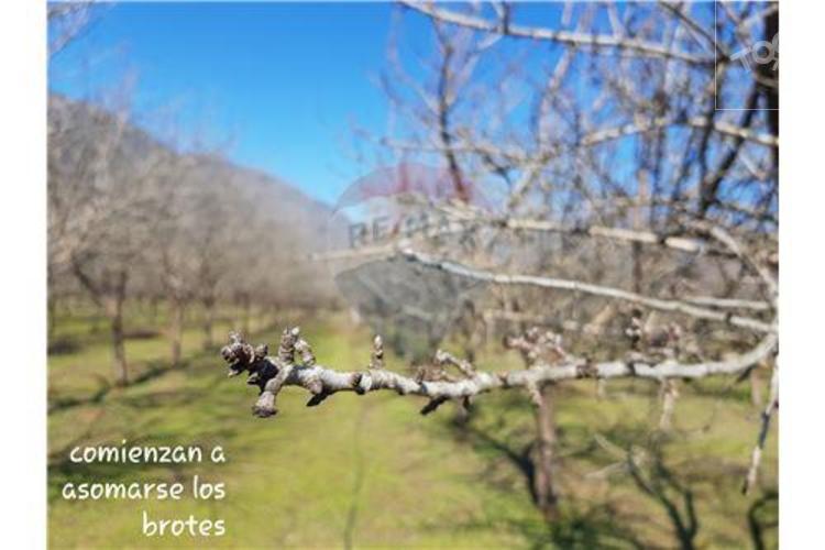 Mágica parcela en sector Abrantes-Paine