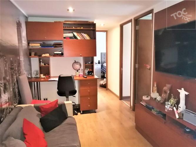 PENTHOUSE EL VERGEL CON LOS LEONES