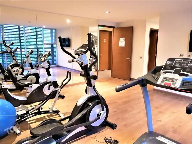 PENTHOUSE EL VERGEL CON LOS LEONES