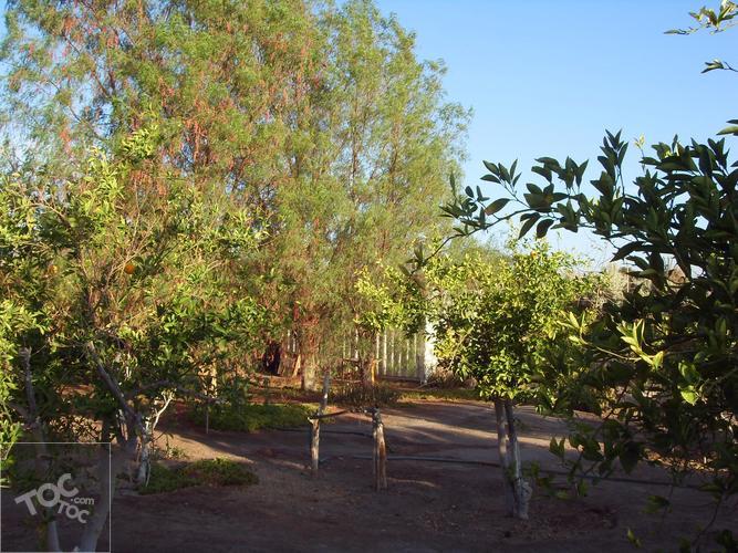OPORTUNIDAD Parcela con casa y cabaña cuidador
