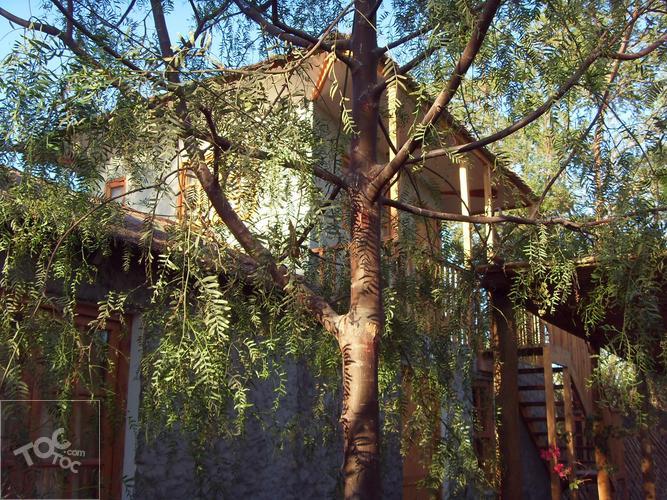 OPORTUNIDAD Parcela con casa y cabaña cuidador