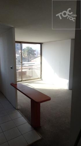 NATANIEL COX 1439 DP 404 B, Santiago