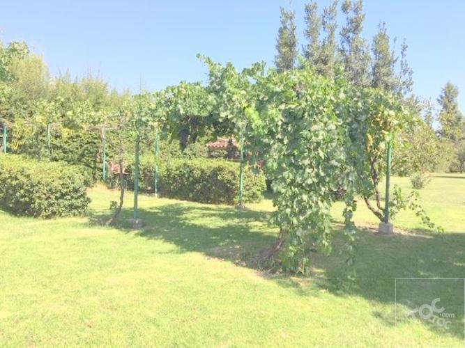 Fundo San Alfonso, Lonquen Sur