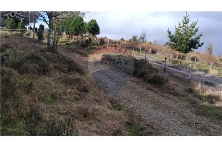 Sector los Caracoles