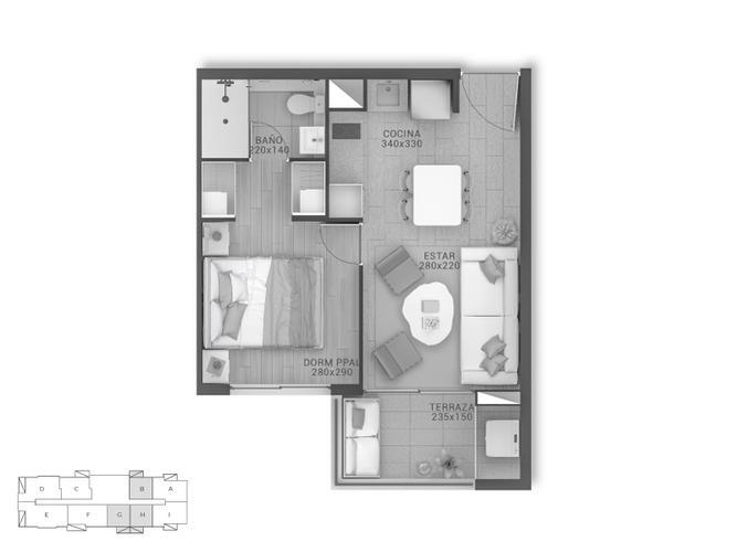 Macul 6305, Macul