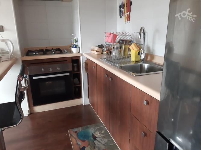 Departamento San Pedro de la Paz, Conectate con la Naturaleza