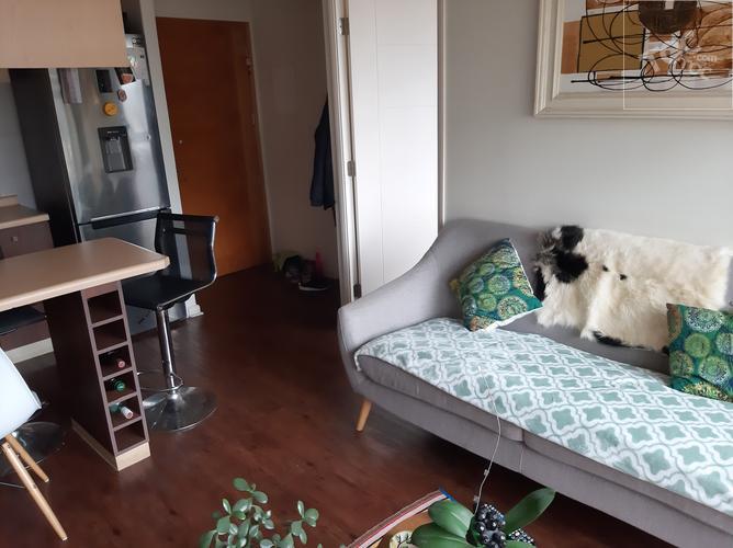 Departamento San Pedro de la Paz, Conectate con la Naturaleza