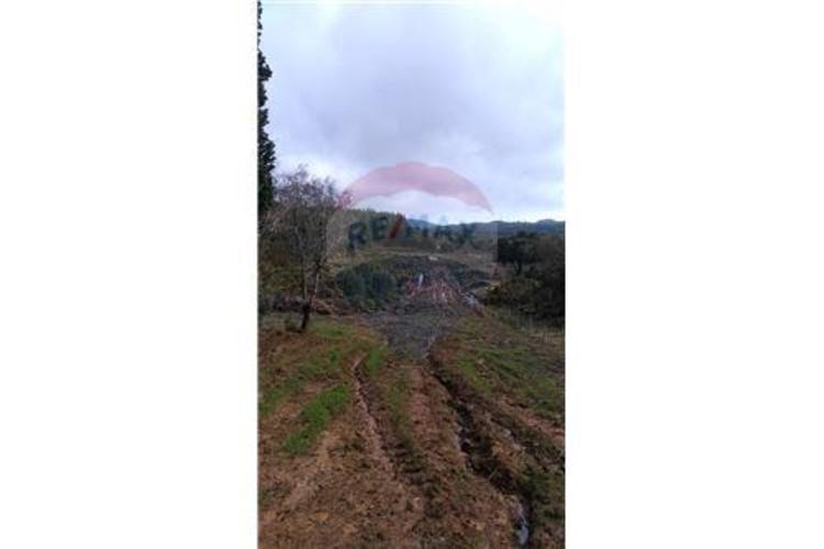 Sector rural de Meichaco