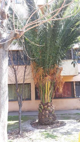 DEPARTAMENTO CERCA DE PEDRO LAGOS Y ZENTENO, METROS PARQUE O´HIGGINS, AVDA. MATTA Y OTROS