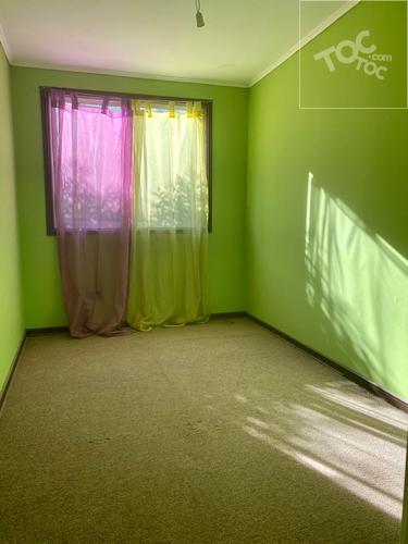 FUCSIA 4294, Cerrillos