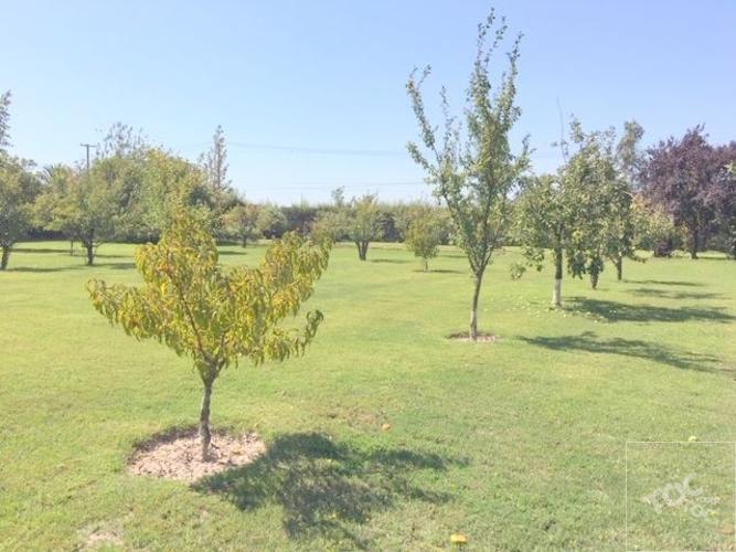 Fundo San Alfonso, Lonquen Sur