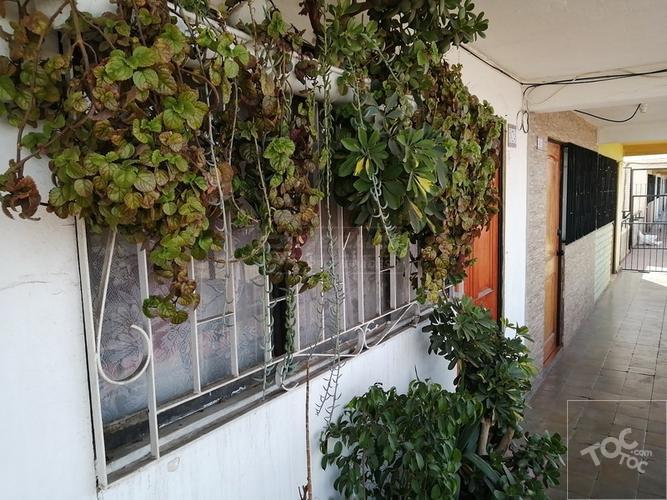 Esquina Blanca - Cuatro Alamos