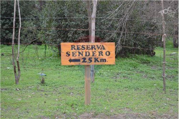 HACIENDA EL BELLOTO