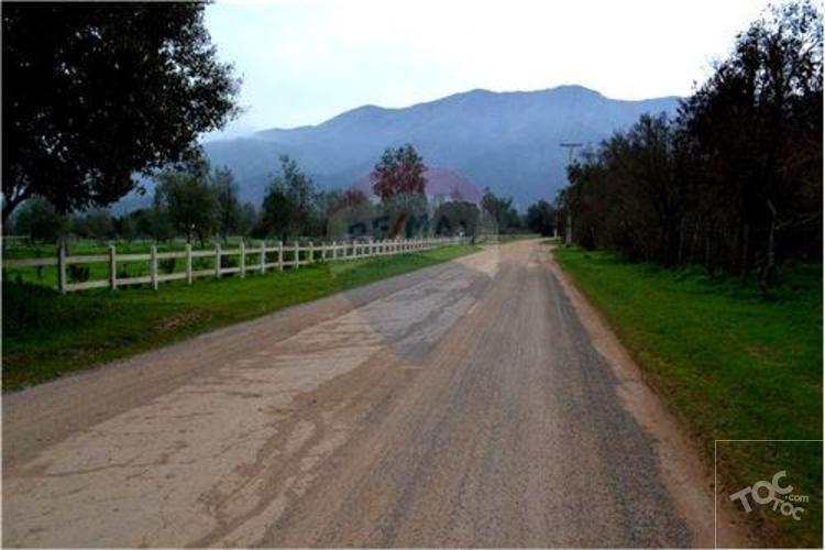 HACIENDA EL BELLOTO