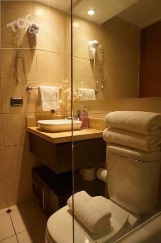 SANTA BEATRIZ 81 DP 802, Providencia