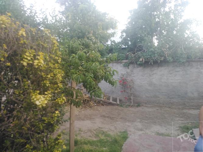 LOS CISNES , Macul amplio terreno.