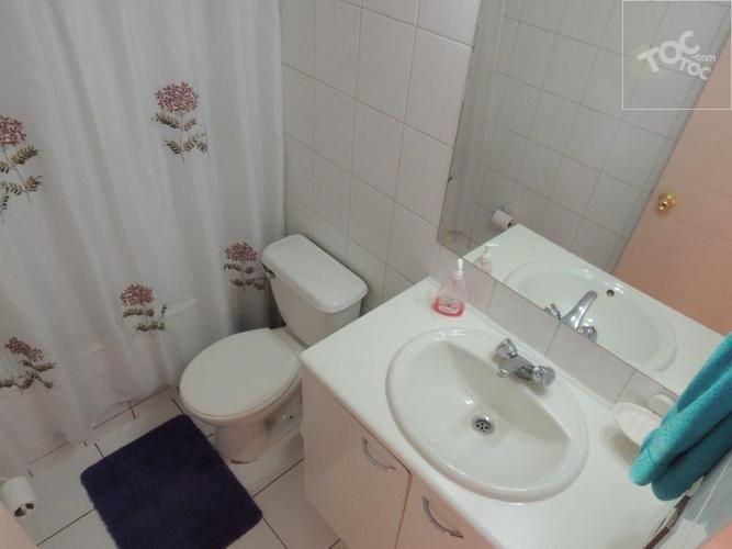 Arriendo Departamento Diagonal Paraguay Amoblado