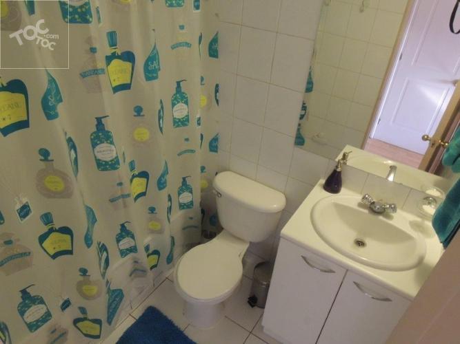 Arriendo Departamento Diagonal Paraguay Amoblado