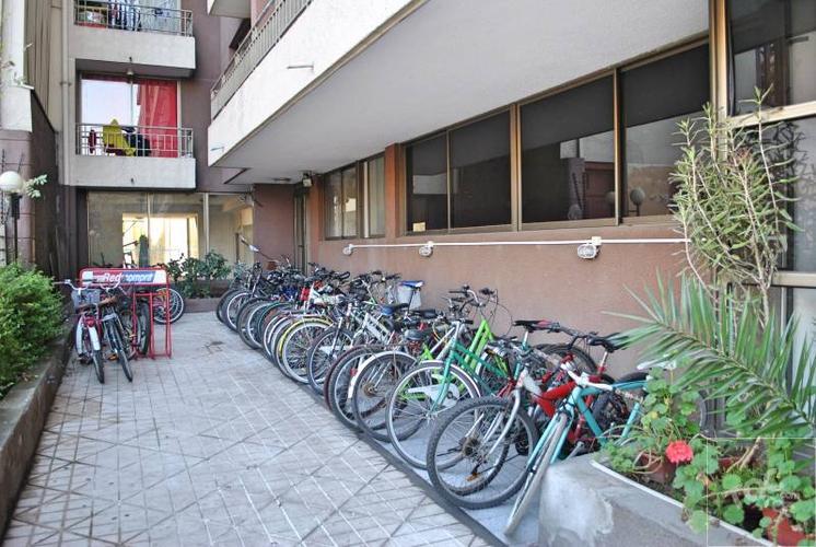 raulí 596, santiago