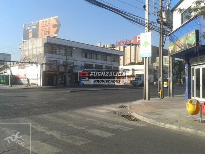 Tannenbaum - Gran Avenida