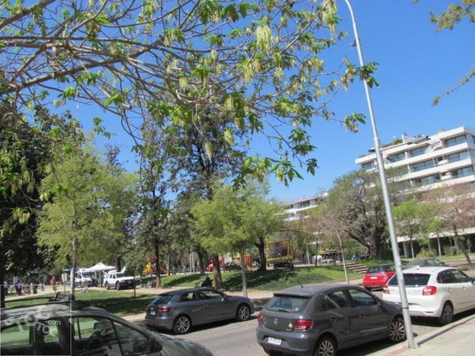 ESPECTACULAR DEPARTAMENTO EN PLAZA LAS LILAS