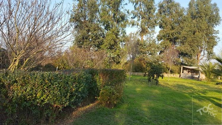 VENTA PARCELA COLONIA ALEMANA - PEÑAFLOR