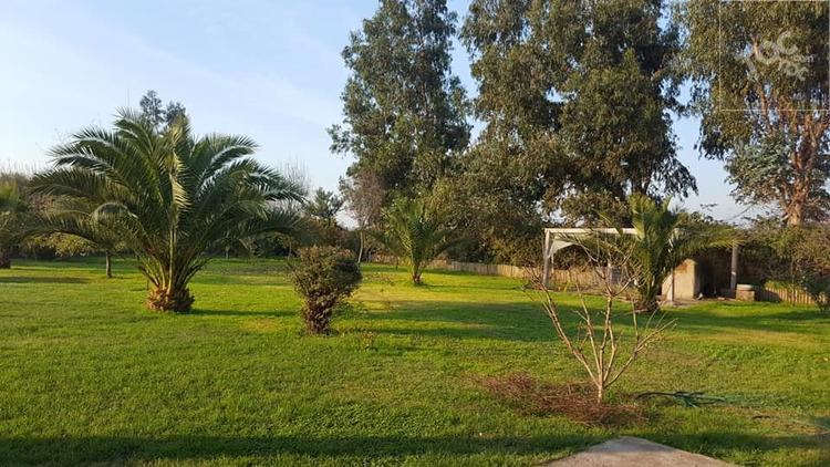 VENTA PARCELA COLONIA ALEMANA - PEÑAFLOR