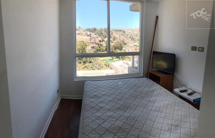 Viana , Viña del Mar