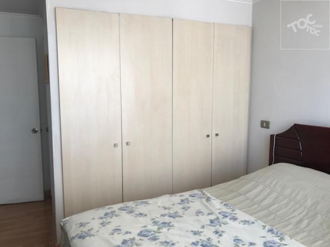 CLAUDIO GAY 1728, Santiago