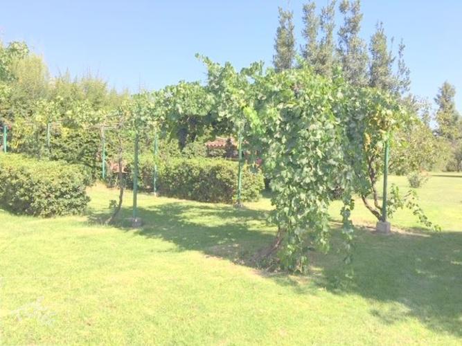 Fundo San Alfonso, Lonquen Sur
