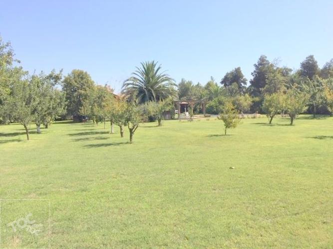 Fundo San Alfonso, Lonquen Sur