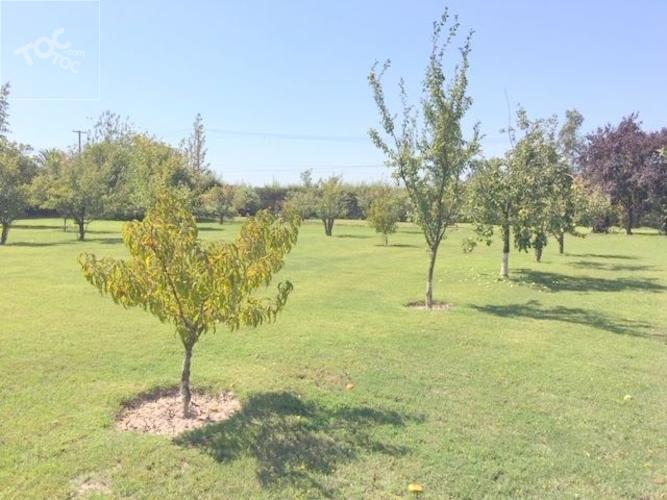 Fundo San Alfonso, Lonquen Sur