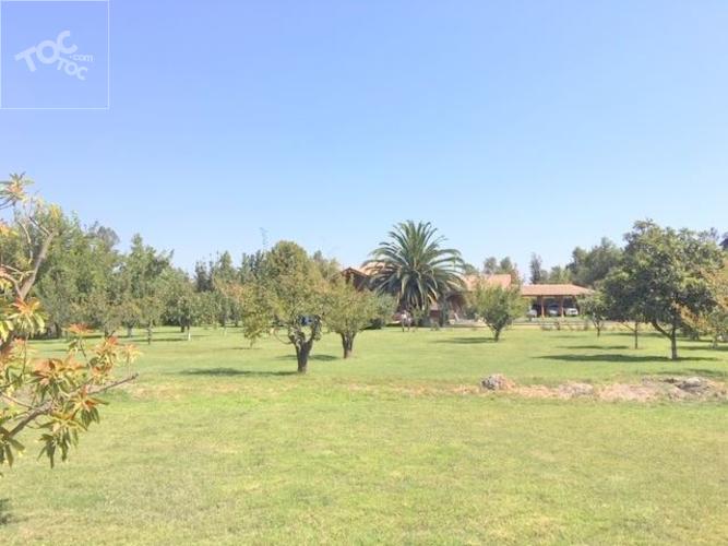 Fundo San Alfonso, Lonquen Sur