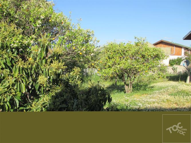 juzgado de familia Quilpue